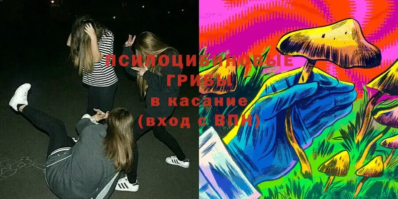 Псилоцибиновые грибы Magic Shrooms  мега ССЫЛКА  Канск 